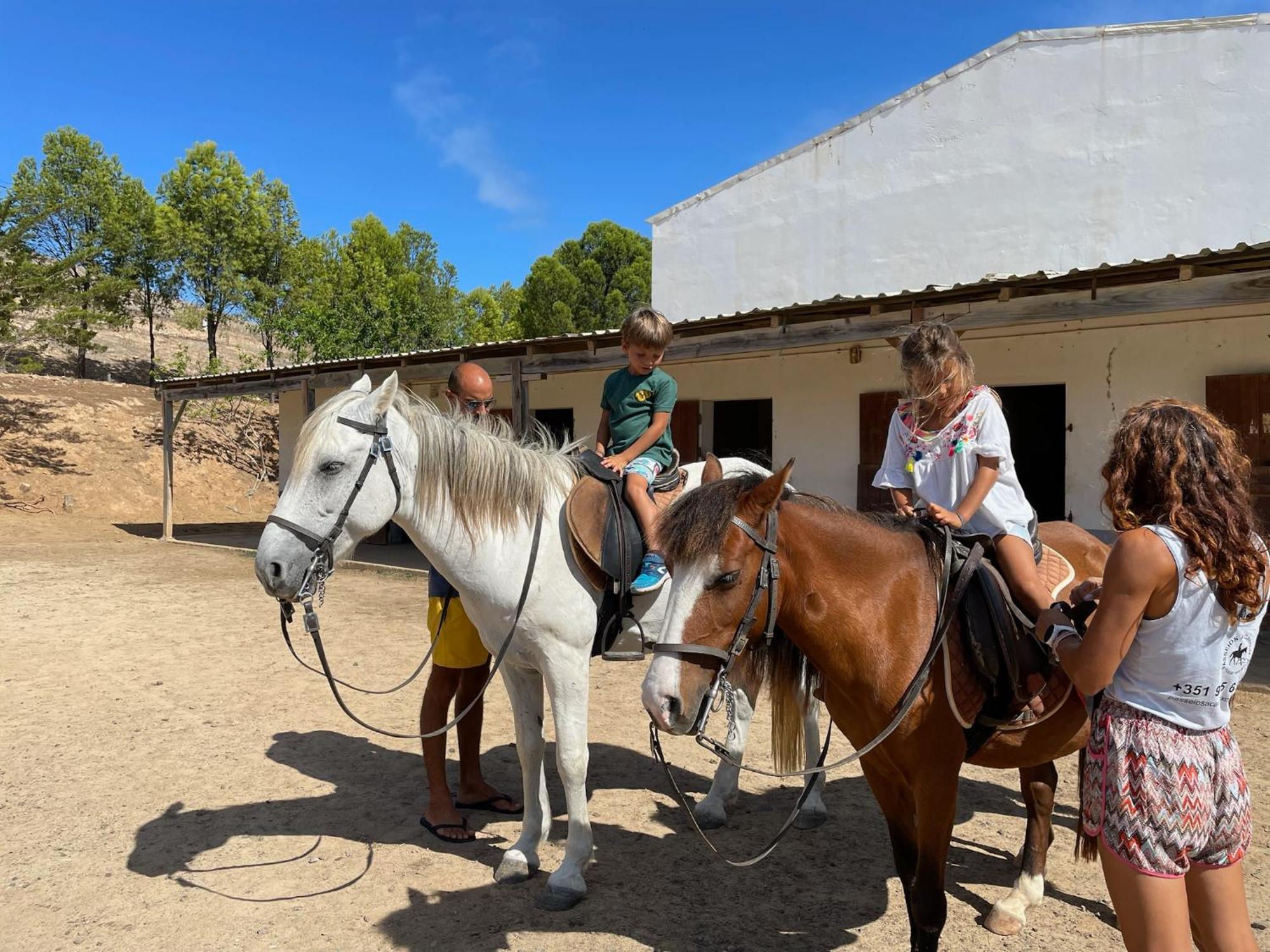 Profetas Guesthouse Porto Santo Eksteriør billede