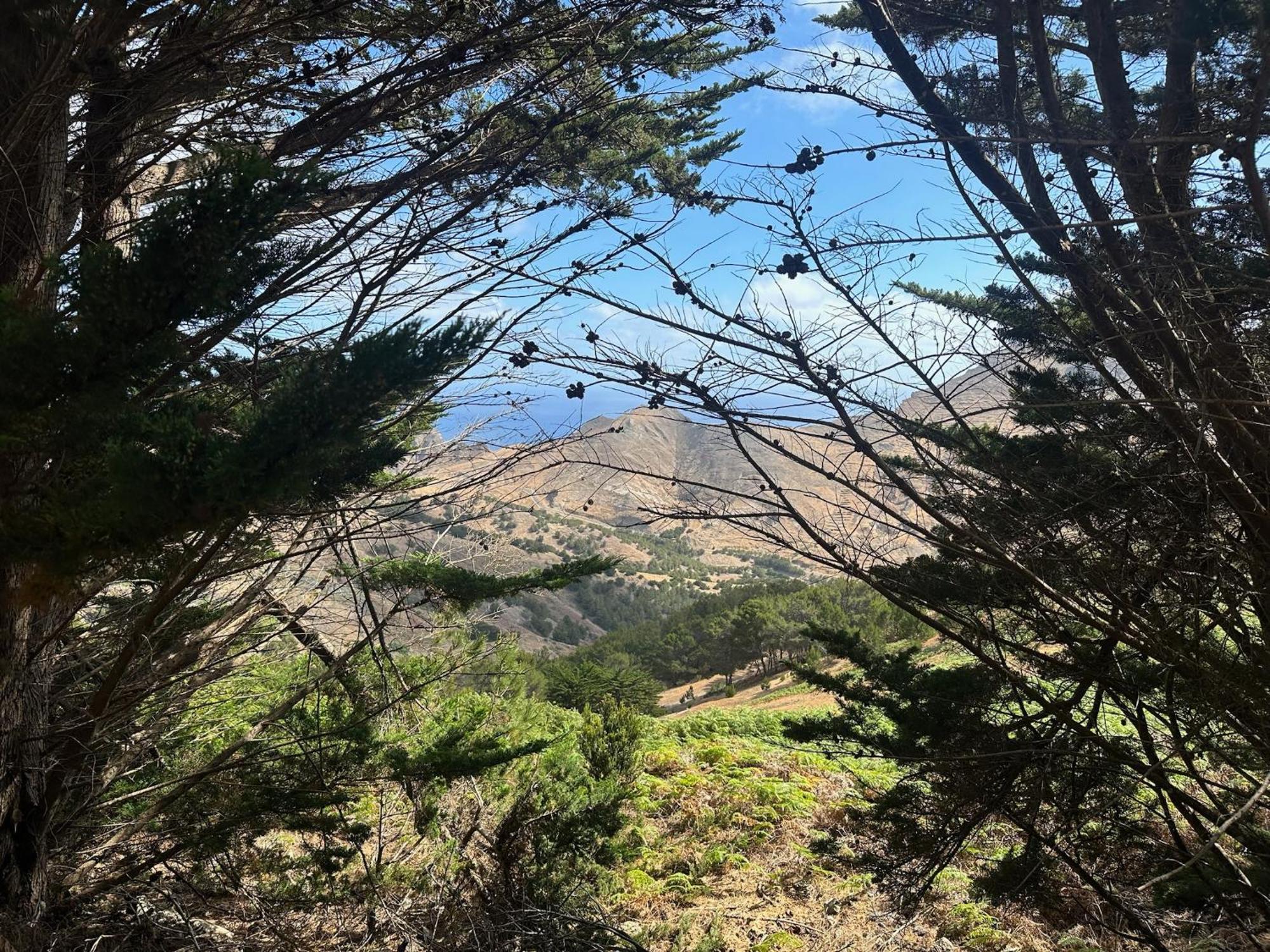 Profetas Guesthouse Porto Santo Eksteriør billede